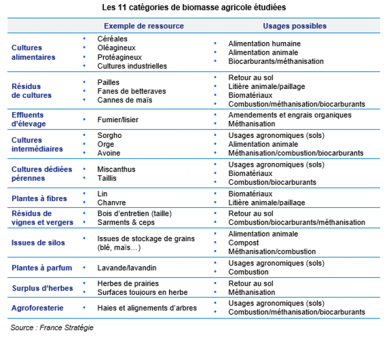 Biomasse agricole : quelles ressources pour quel potentiel - Graphique 1