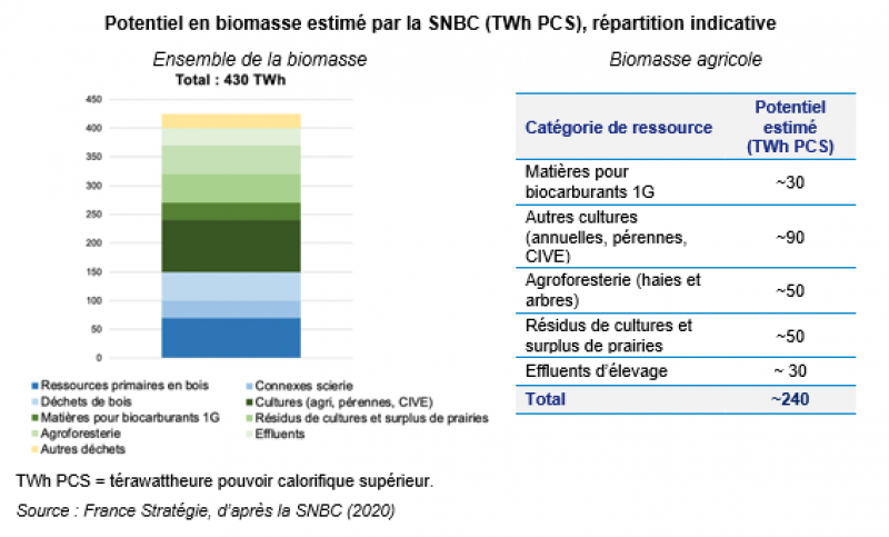 Biomasse agricole : quelles ressources pour quel potentiel - Graphique 2