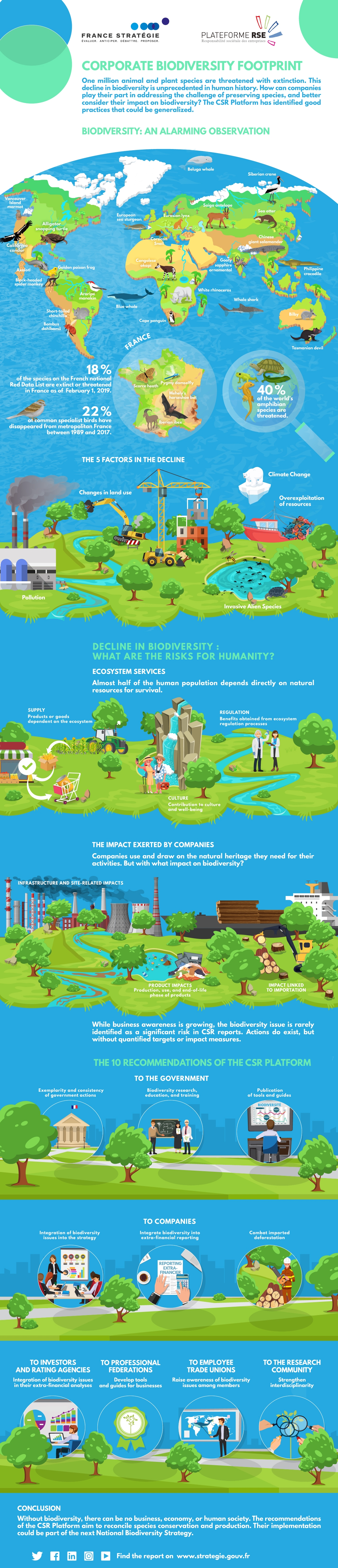 Corporate biodiversity footprint