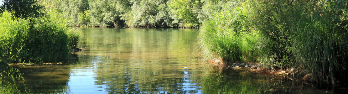 NA 148 - Eau - Header