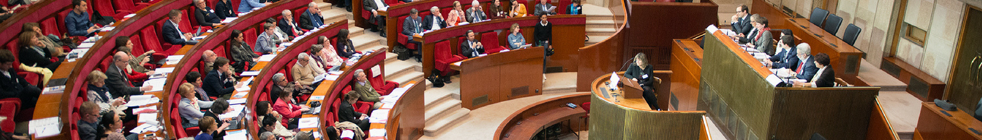 RSE Colloque 2017.png